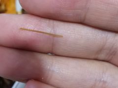 -温江公平红烧兔(总店)