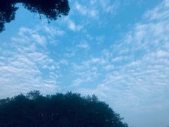 -韶山毛泽东同志故居