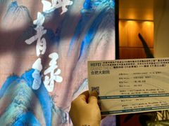 -合肥大剧院