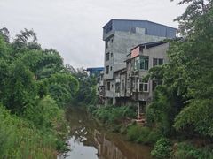 -马村鱼头