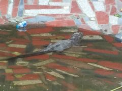 iphone_upload_pic-溱湖国家湿地公园