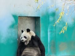 -栾川竹海野生动物园