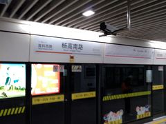 -杨高南路(地铁站)