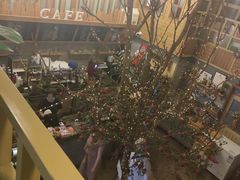 -Cafe Alice咖啡爱丽丝(奥城店)