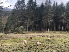 -硗碛藏寨·神木垒景区