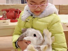 -猫猫幼稚园·撸猫·桌游·电玩