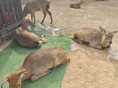 -清远熹乐谷温泉度假酒店