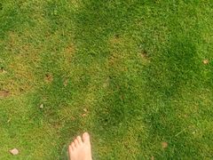 -陆家嘴中心绿地