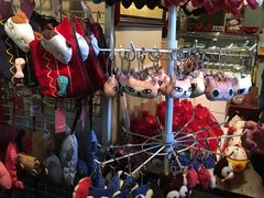 -猫咪博物馆(顶澳仔猫街店)