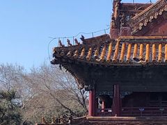 -北陵公园