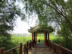 -滕州微山湖红荷湿地景区