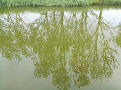 -顺鑫绿色度假村