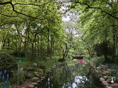 -上海共青森林公园