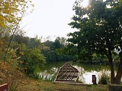 -白鹭湾湿地公园