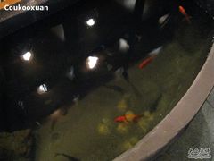 -七仙岭君澜度假酒店·桃源小馆中餐厅