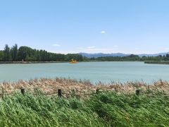 -野鸭湖国家湿地公园