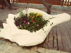 -老虎石海上公园