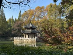 -习家池