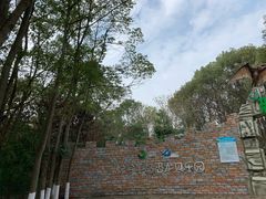 -洪湖悦兮半岛国际温泉度假村