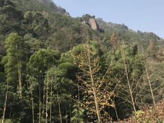-华溪森林公园-售票处