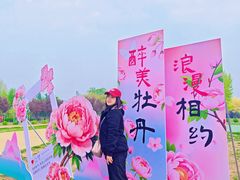 -太阳宫公园