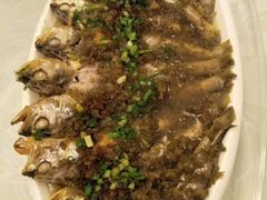 -上海外滩英迪格酒店