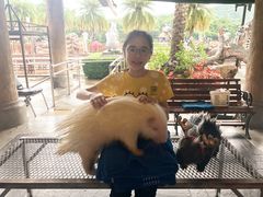 -清迈夜间动物园