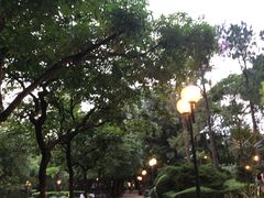 -九龙公园