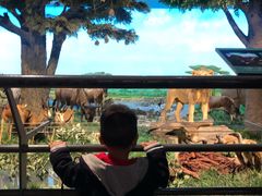 -国家自然博物馆