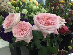 -Butchart布查德鲜花(花艺设计中心)