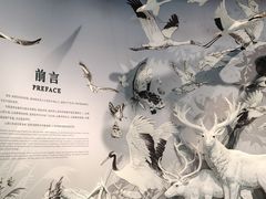 -中国湿地博物馆