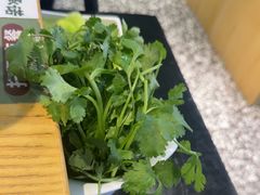 -0048鲜活香辣虾·火锅(铜陵路店)