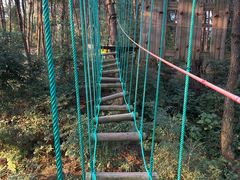 -芦仙山景区-飞越丛林探险乐园