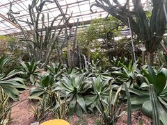 -呀路古热带植物园
