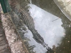 -泉州海丝野生动物世界