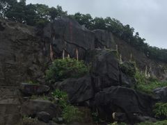 -金鸡山公园