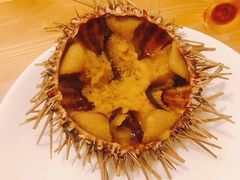 -海胆小馆(东北水饺·春柳店)