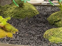 -外滩·云南人家(昆明旗舰店)