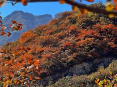 -周口店坡峰岭风景区