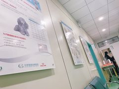 -北京观赏动物医院·24小时大型综合·猫专科·异宠专科