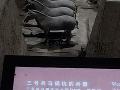 -秦始皇帝陵博物院(兵马俑)