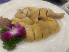 白切鸡-东江渔村(皇悦店)