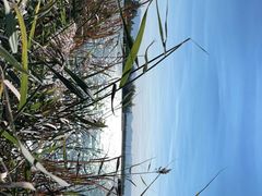 -野鸭湖国家湿地公园