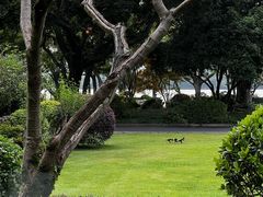 -浙江西子宾馆·牡丹厅
