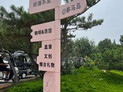 -养马岛旅游度假区