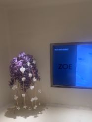 -紫御国际抗衰ZOE ANTI AGING