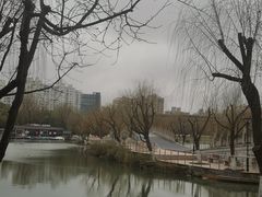 -大宁公园