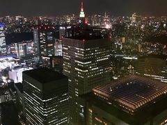 -东京都厅舍