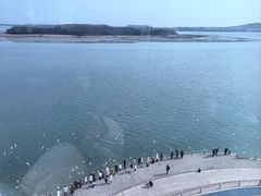 -琴岛之星摩天轮