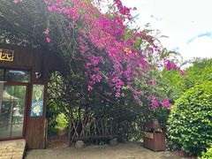 -野象谷景区